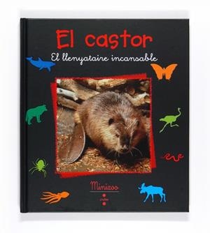 EL CASTOR.EL LLENYATAIRE INCANSABLE | 9788466124232 | TRACQUI, VALÉRIE | Llibreria Geli - Llibreria Online de Girona - Comprar llibres en català i castellà
