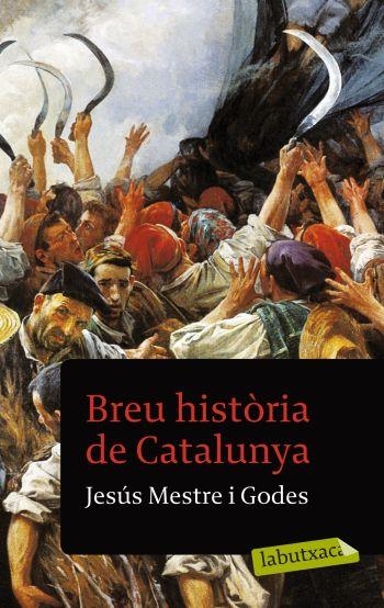 BREU HISTORIA DE CATALUNYA | 9788499301457 | MESTRE I GODES,JESUS | Libreria Geli - Librería Online de Girona - Comprar libros en catalán y castellano
