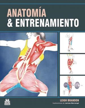 ANATOMIA & ENTRENAMIENTO | 9788499100548 | BRANDON,LEIGH | Llibreria Geli - Llibreria Online de Girona - Comprar llibres en català i castellà