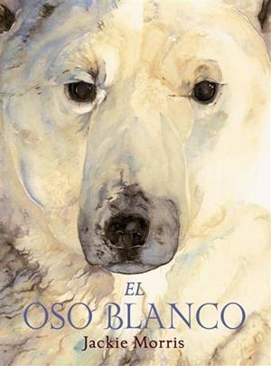 EL OSO BLANCO | 9788489825741 | MORRIS,JACKIE | Llibreria Geli - Llibreria Online de Girona - Comprar llibres en català i castellà