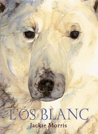 L'OS BLANC | 9788489825734 | MORRIS,JACKIE | Libreria Geli - Librería Online de Girona - Comprar libros en catalán y castellano