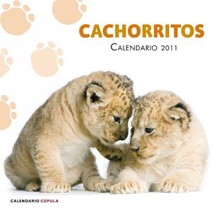 CACHORRITOS CALENDARIO 2011 | 9788448068257 | AA. VV. | Libreria Geli - Librería Online de Girona - Comprar libros en catalán y castellano