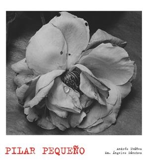 PILAR PEQUEÑO | 9788497856874 | IBAÑEZ,ANDRES/SANCHEZ,MARIA ANGELES | Libreria Geli - Librería Online de Girona - Comprar libros en catalán y castellano