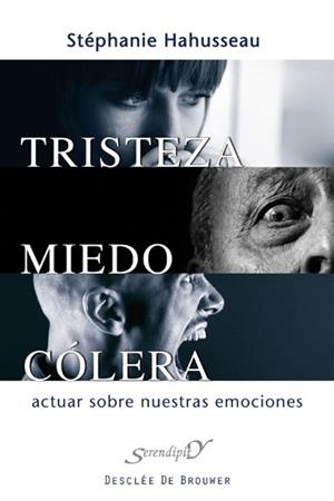 TRISTEZA MIEDO COLERA | 9788433024534 | HAHUSSEAU,STEPHANIE | Libreria Geli - Librería Online de Girona - Comprar libros en catalán y castellano