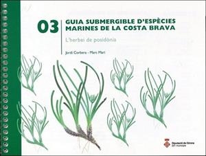 GUIA SUBMERGIBLE D'ESPECIES MARINES-03 | 9788496747753 | CORBERA,JORDI/MARI,MARC | Libreria Geli - Librería Online de Girona - Comprar libros en catalán y castellano