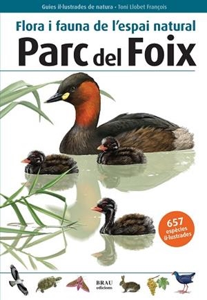 FLORA I FAUNA DE L'ESPAI NATURAL PARC DEL FOIX | 9788496905580 | BAYER GONZÁLEZ, XAVIER/GUASCH GONZÁLEZ, FRANCESC | Llibreria Geli - Llibreria Online de Girona - Comprar llibres en català i castellà