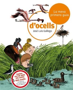 LA MEVA PRIMERA GUIA D'OCELLS | 9788424633721 | GALLEGO,JOSE LUIS | Libreria Geli - Librería Online de Girona - Comprar libros en catalán y castellano