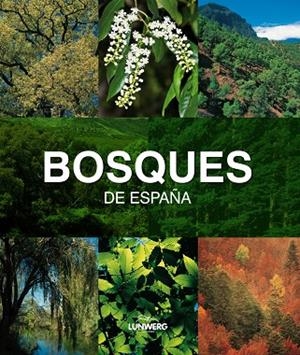 BOSQUES DE ESPAÑA | 9788497857482 | ARAÚJO,JOAQUIN | Libreria Geli - Librería Online de Girona - Comprar libros en catalán y castellano
