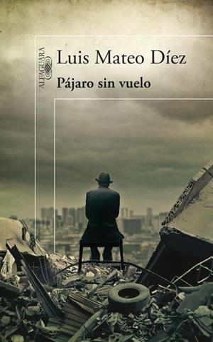 PAJARO SIN VUELO | 9788420474984 | MATEO DIEZ,LUIS | Llibreria Geli - Llibreria Online de Girona - Comprar llibres en català i castellà