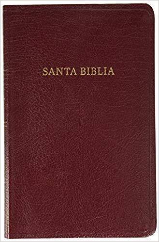 SANTA BIBLIA REINA VALERA 1960 | 9781558193734 | Llibreria Geli - Llibreria Online de Girona - Comprar llibres en català i castellà