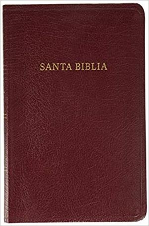 SANTA BIBLIA REINA VALERA 1960 | 9781558193734 | Llibreria Geli - Llibreria Online de Girona - Comprar llibres en català i castellà