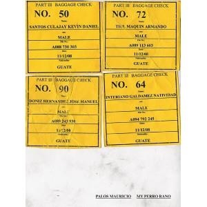 MY PERRO RANO | 9788492480944 | PALOS,MAURICIO | Libreria Geli - Librería Online de Girona - Comprar libros en catalán y castellano