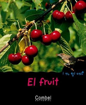EL FRUIT | 9788498251333 | GUIDOUX, VALÉRIE | Libreria Geli - Librería Online de Girona - Comprar libros en catalán y castellano