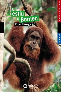 UN ESTIU A BORNEO | 9788448921071 | GARRIGA,PILAR | Libreria Geli - Librería Online de Girona - Comprar libros en catalán y castellano