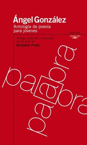 ANTOLOGIA DE POESIA PARA JOVENES | 9788420473215 | GONZALEZ,ANGEL | Llibreria Geli - Llibreria Online de Girona - Comprar llibres en català i castellà