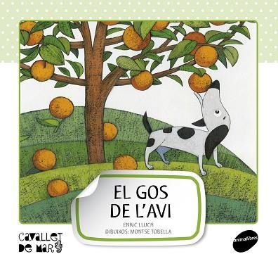 EL GOS DE L'AVI | 9788415095507 | LLUCH,E | Libreria Geli - Librería Online de Girona - Comprar libros en catalán y castellano