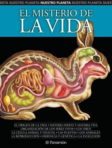 EL MISTERIO DE LA VIDA | 9788434226937 | Libreria Geli - Librería Online de Girona - Comprar libros en catalán y castellano