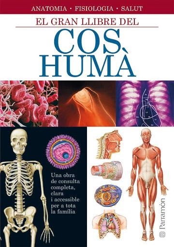 EL GRAN LLIBRE DEL COS HUMA | 9788434228672 | Libreria Geli - Librería Online de Girona - Comprar libros en catalán y castellano