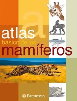 ATLAS BASICO DE LOS MAMIFEROS | 9788434229532 | JULIVERT ZAMARREÑO, ÀNGELS | Llibreria Geli - Llibreria Online de Girona - Comprar llibres en català i castellà