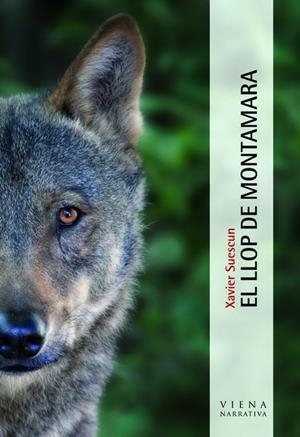 EL LLOP DE MONTAMARA | 9788483306727 | SUESCUN,XAVIER | Llibreria Geli - Llibreria Online de Girona - Comprar llibres en català i castellà