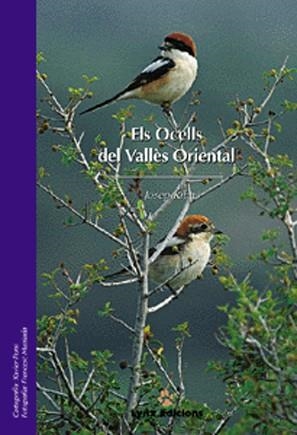 OCELLS DEL VALLES ORIENTAL | 9788487334290 | RIBAS,JOSEP | Llibreria Geli - Llibreria Online de Girona - Comprar llibres en català i castellà