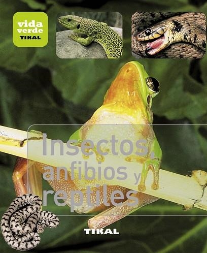 INSECTOS,ANFIBIOS Y REPTILES | 9788499281377 | Libreria Geli - Librería Online de Girona - Comprar libros en catalán y castellano