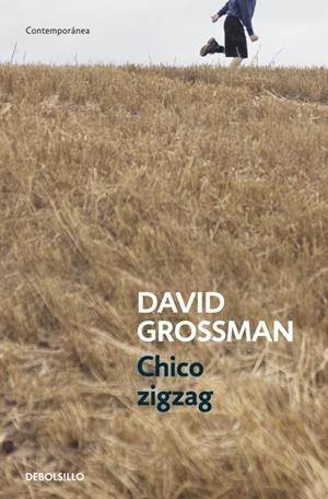 CHICO ZIGZAG | 9788499894805 | GROSSMAN,DAVID | Libreria Geli - Librería Online de Girona - Comprar libros en catalán y castellano