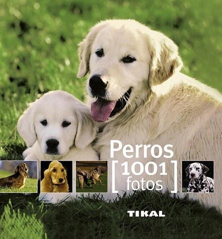 PERROS(1001 FOTOS) | 9788499280851 | Libreria Geli - Librería Online de Girona - Comprar libros en catalán y castellano