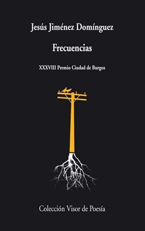 FRECUENCIAS | 9788498958133 | JIMÉNEZ DOMÍNGUEZ,JESÚS | Llibreria Geli - Llibreria Online de Girona - Comprar llibres en català i castellà