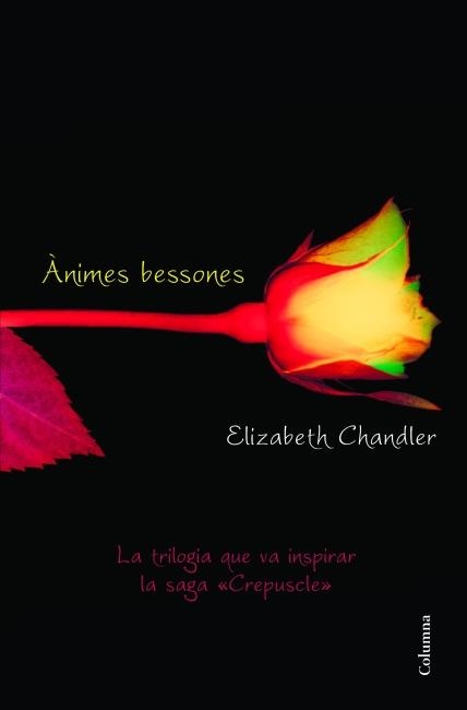 ÀNIMES BESSONES | 9788466415101 | CHANDLER,ELIZABETH | Libreria Geli - Librería Online de Girona - Comprar libros en catalán y castellano