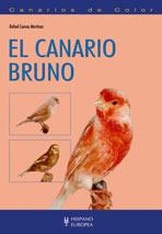 EL CANARIO BRUNO | 9788425517143 | CUEVAS MARTINEZ,RAFAEL | Libreria Geli - Librería Online de Girona - Comprar libros en catalán y castellano