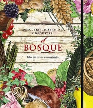 EL BOSQUE.DESCUBRIR,DISFRUTAR Y DEGUSTAR | 9788415411352 | LAPORTE,AMANDA/MONNÉ,TONI/VAN GINKE,ASTRID | Llibreria Geli - Llibreria Online de Girona - Comprar llibres en català i castellà