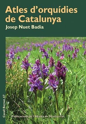 ATLES D'ORQUIDIES DE CATALUNYA | 9788498832075 | NUET BADIA,JOSEP | Llibreria Geli - Llibreria Online de Girona - Comprar llibres en català i castellà