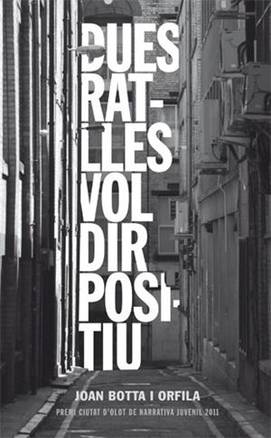 DUES RATLLES VOL DIR POSITIU | 9788424641719 | BOTTA I ORFILA,JOAN | Libreria Geli - Librería Online de Girona - Comprar libros en catalán y castellano