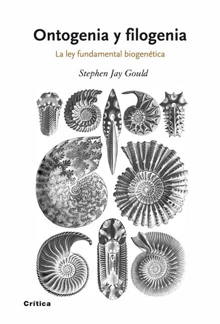 ONTOGENIA Y FILOGENIA.LA LEY FUNDAMENTAL BIOGENETICA | 9788498920628 | JAY GOULD,STEPHEN | Libreria Geli - Librería Online de Girona - Comprar libros en catalán y castellano