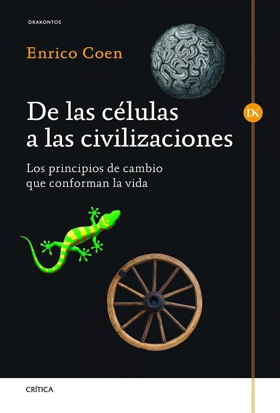 DE LAS CELULAS A LAS CIVILIZACIONES.LOS PRINCIPIOS DE CAMBIO QUE CONFORMAN LA VIDA | 9788498924954 | COEN,ENRICO | Libreria Geli - Librería Online de Girona - Comprar libros en catalán y castellano