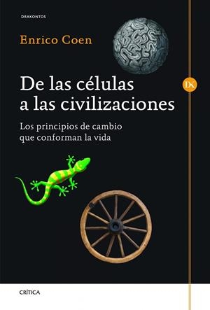 DE LAS CELULAS A LAS CIVILIZACIONES.LOS PRINCIPIOS DE CAMBIO QUE CONFORMAN LA VIDA | 9788498924954 | COEN,ENRICO | Llibreria Geli - Llibreria Online de Girona - Comprar llibres en català i castellà