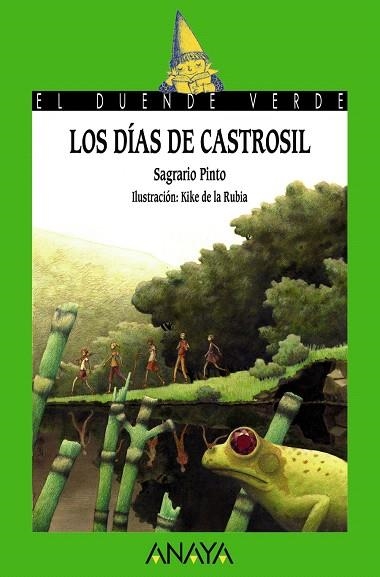 LOS DÍAS DE CASTROSIL | 9788467840636 | PINTO,SAGRARIO/DE LA RUBIA,KIKE (IL) | Libreria Geli - Librería Online de Girona - Comprar libros en catalán y castellano