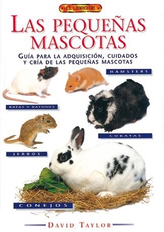 LAS PEQUEÑAS MASCOTAS | 9788488893529 | TAYLOR,DAVID | Libreria Geli - Librería Online de Girona - Comprar libros en catalán y castellano