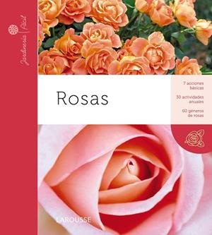 ROSAS.7 ACCIONES BASICAS,30 ACTIVIDADES ANUALES,60 GENEROS DE ROSAS | 9788415411895 | LAROUSSE EDITORIAL | Libreria Geli - Librería Online de Girona - Comprar libros en catalán y castellano