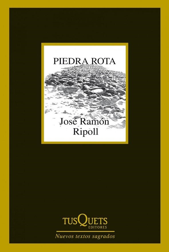 PIEDRA ROTA | 9788483834787 | RIPOLL,JOSÉ RAMÓN | Libreria Geli - Librería Online de Girona - Comprar libros en catalán y castellano