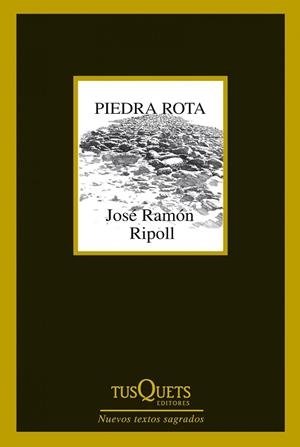 PIEDRA ROTA | 9788483834787 | RIPOLL,JOSÉ RAMÓN | Llibreria Geli - Llibreria Online de Girona - Comprar llibres en català i castellà