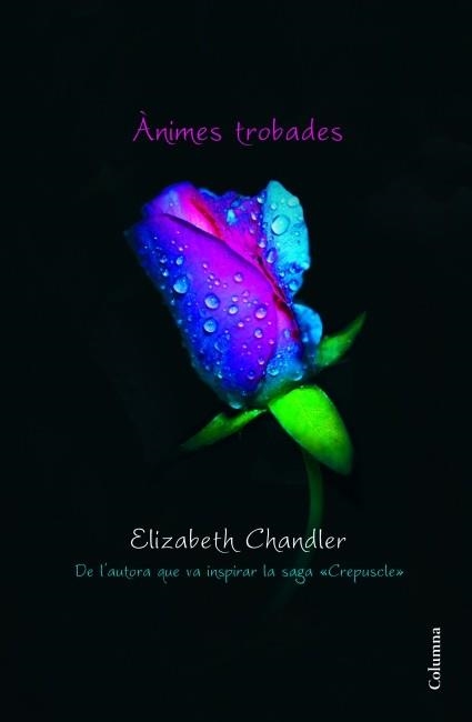 ÀNIMES TROBADES | 9788466415095 | CHANDLER,ELIZABETH | Libreria Geli - Librería Online de Girona - Comprar libros en catalán y castellano