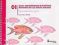 GUIA SUBMERGIBLE D'ESPÈCIES MARINES DE LA COSTA BRAVA-01.COMUNITAT CORAL·LÍGENA | 9788496747364 | CORBERA,JORDI/MARI,MARC | Libreria Geli - Librería Online de Girona - Comprar libros en catalán y castellano