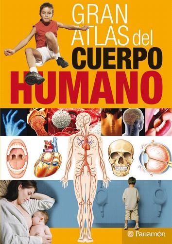 GRAN ATLAS DEL CUERPO HUMANO | 9788434229648 | AA.VV. | Llibreria Geli - Llibreria Online de Girona - Comprar llibres en català i castellà