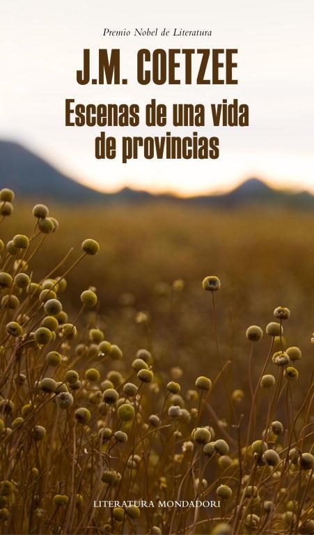 ESCENAS DE UNA VIDA DE PROVINCIAS (TD,ED.2013.APLEGA INFANCIA/JUVENTUD/VERANO) | 9788439726401 | COETZEE,J.M. (1940,CIUTAT DEL CAP) | Llibreria Geli - Llibreria Online de Girona - Comprar llibres en català i castellà