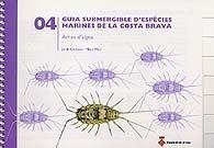GUIA SUBMERGIBLE D'ESPÈCIES MARINES DE LA COSTA BRAVA-04.ARRAN D'AIGUA | 9788496747869 | CORBERA,JORDI | Llibreria Geli - Llibreria Online de Girona - Comprar llibres en català i castellà