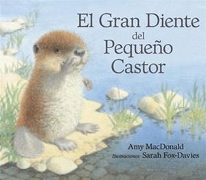 EL GRAN DIENTE DEL PEQUEÑO CASTOR | 9788493933951 | MACDONALD,AMY/FOX-DAVIES,SARAH | Libreria Geli - Librería Online de Girona - Comprar libros en catalán y castellano