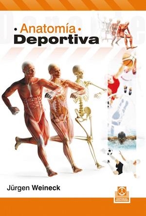 ANATOMÍA DEPORTIVA | 9788499104041 | WEINECK,JÜRGEN | Libreria Geli - Librería Online de Girona - Comprar libros en catalán y castellano