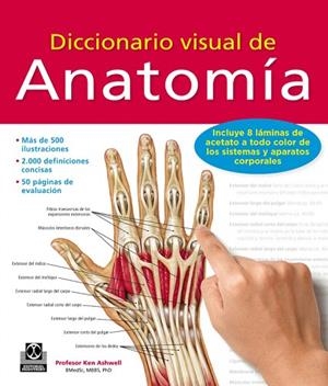 DICCIONARIO VISUAL DE ANATOMÍA | 9788499104522 | ASHWELL,KEN | Libreria Geli - Librería Online de Girona - Comprar libros en catalán y castellano